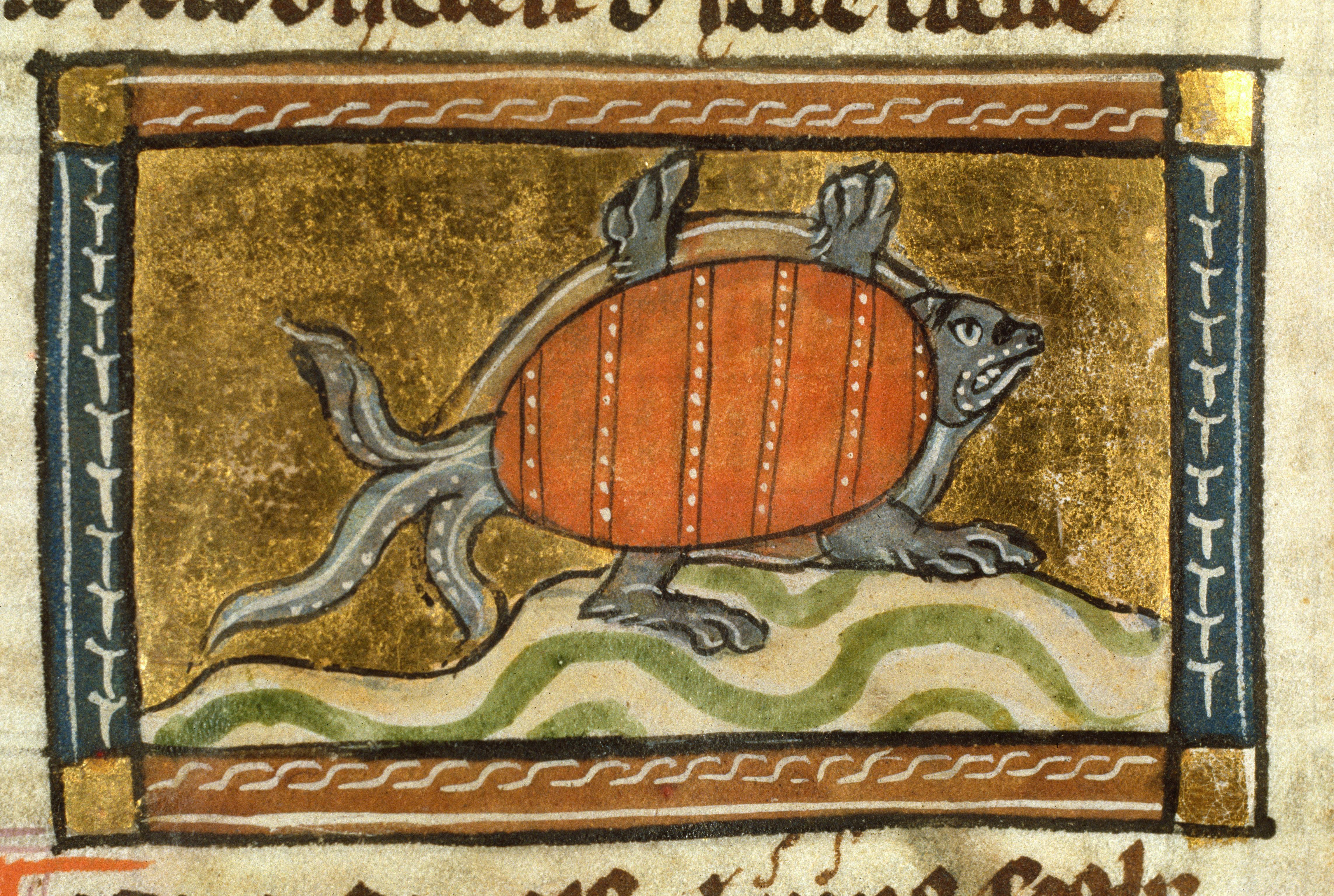 The Weekly Knight: Bitcoin and Turtles All the Way Down