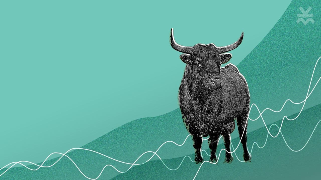 Recorded All-Time High and Metrics Confirm Bull Cycle Has More Room